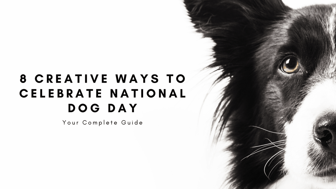 8 Creative Ways to Celebrate National Dog Day in 2022 - Mandujour
