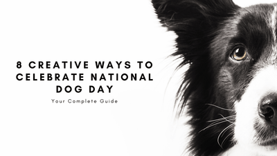 8 Creative Ways to Celebrate National Dog Day in 2022