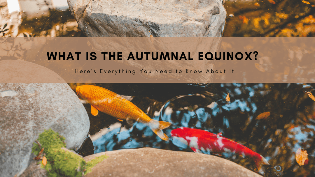 What is the Autumnal Equinox? Here’s Everything You Need to Know About It - Mandujour