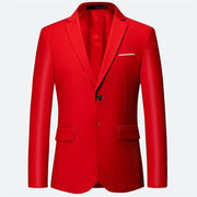 Luxury 2 piece men's wedding suit fashion men's slim solid color business office suit sets large size men Blazer+ pants + vest - Mandujour